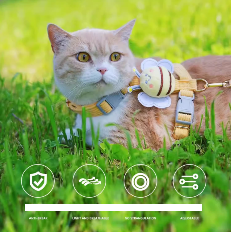 Bee Vest-Style Cat Leash – Escape-Proof and Neck-Friendly Design