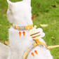 Bee Vest-Style Cat Leash – Escape-Proof and Neck-Friendly Design