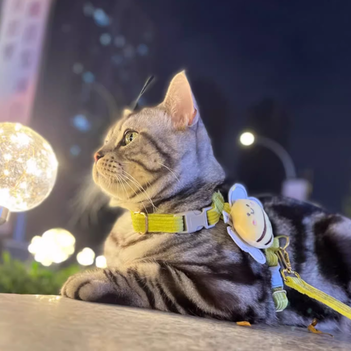 Bee Vest-Style Cat Leash – Escape-Proof and Neck-Friendly Design