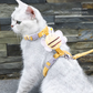 Bee Vest-Style Cat Leash – Escape-Proof and Neck-Friendly Design