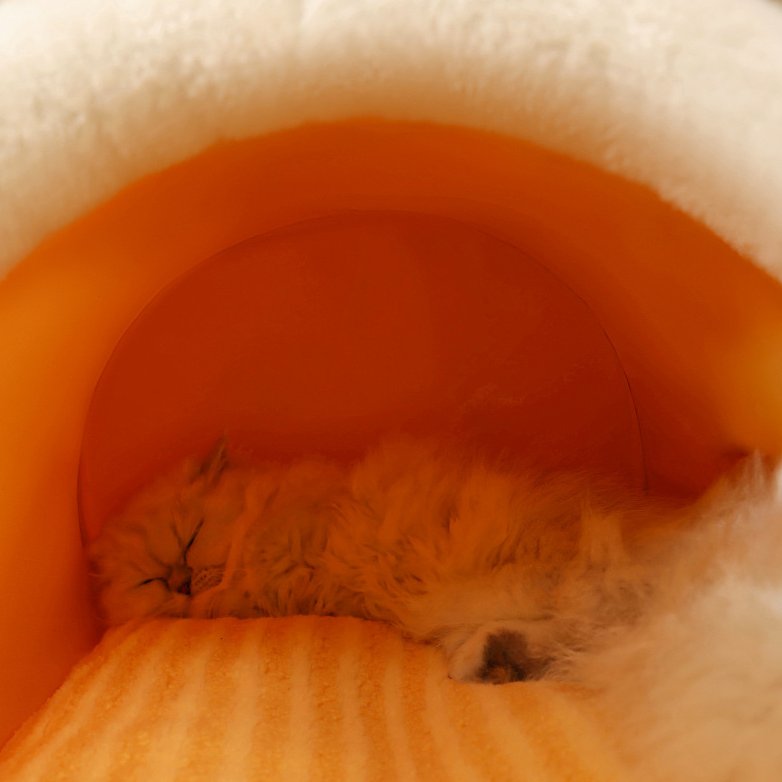 Cozy Winter Wrap-Around Cat Bed – Plush and Thickened for Extra Warmth